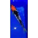 Koi 19 25- 30cm