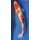 Koi 33 40-45cm