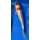 Koi 47- 20-25cm