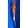 Koi 65 20-25cm