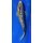 Koi 39 25- 30cm