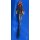 Butterfly Koi 93 20- 25cm Kujaku metallic